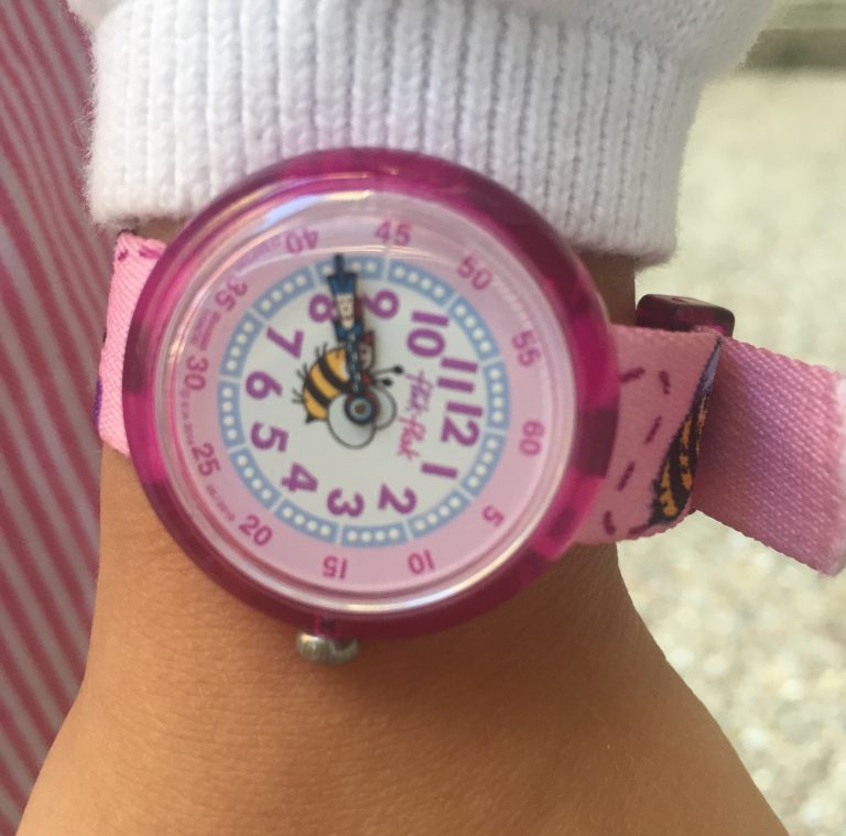 Flik Flak Buzzy Mission